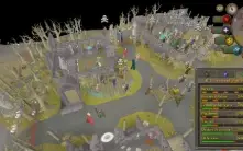 Zerker ótima para pk