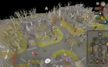 Zerker ótima para pk