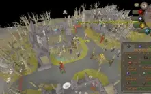 Zerker ótima para pk