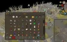 Zerker ótima para pk
