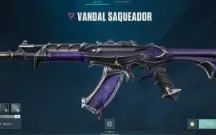 Conta De Valorant Com Varias Skins Full Acesso +R$700 Gasto