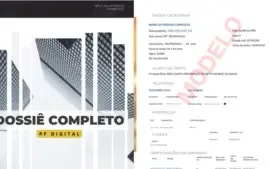 Consulta de Dados Sigilosos╎CPF/CNPJ╎Modelo na Descrição