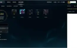 CONTA OURO4 133de137 CHAMPIONS, 13 paginas de runa 83 skins