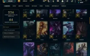 Unranked com 80 Champs e 49 Skins
