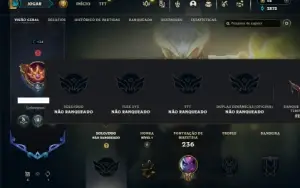 Unranked com 80 Champs e 49 Skins