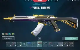 Conta Valorant Com Muitas Skins e Platina 1