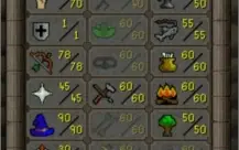 75 Atk Pure 1 DEF OSRS