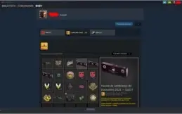 Conta GamersClub lvl 19 e Steam level 100 + Faceit