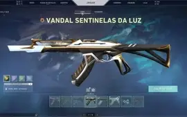 Conta Ascendente 2, Todos os agentes, muitas skins.