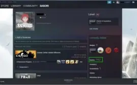 CS:GO PRIME | 2 MEDALHAS | OURO 4 |742 JOGOS | LV 19 STEAM