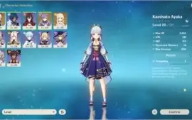 AR22 AYAKA C1 + Keqing