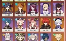 AYAKA+ARMA / RAIDEN+ ARMA / MONA C2
