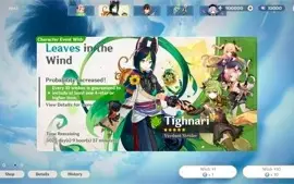 Server Private Genshin Impact