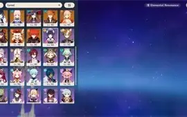 Server Private Genshin Impact