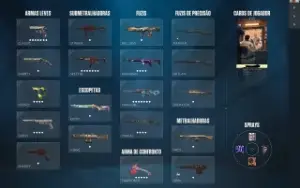 Conta Valorant - full acesso e muitas skins boas