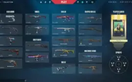 Conta Valorant com 15 skins de loja + 2 passes completos