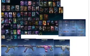 Conta valorant com skins +conta lol2 prestigios diana e zyra