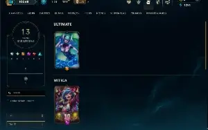 Unranked com 55 Champs e 13 Skins