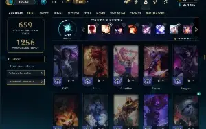Unranked com TODOS os champs e 169 Skins ( ADC / SUP )
