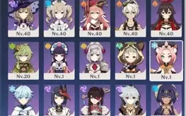 CONTA GENSHIN -RAIDEN SHOGUN + NAHIDA + KEQING, AR40, ETC...