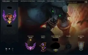 CONTA MESTRE FULL CHAMP 276SKINS