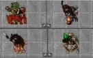 Conta do tibia segue informações abaixo!!