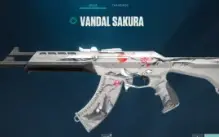 Conta Valorant Ascendente com varias skins, 370 reais gastos