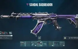 Conta  D1 635 Skins Handmade + Conta De Valorant 30 Skins