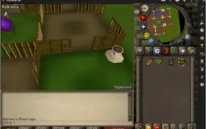 Conta ags pure , fire cape , reju pool , jewlery box  e mais