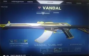 Vendo conta boa de valorant