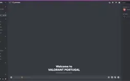 Clonador Servidores Discord - 30 DIAS (Storm Cloner)