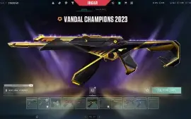 Conta De Valorant! Skins+Mundial/ Full Acesso