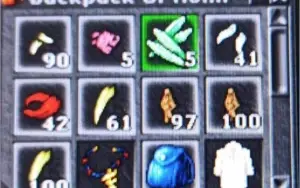Royal Paladin 493 NonPVP