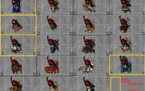 Royal Paladin 493 NonPVP