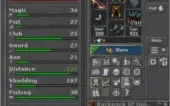 Royal Paladin 493 NonPVP