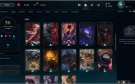 Conta League of Legends Lv166 36 skins 99 champs