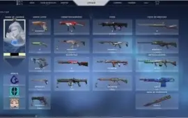 CONTA BETA VALORANT FULL SKIN + FULL PASSES - D2
