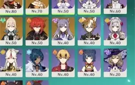 Kazuha/ Jean/ Keqing/ Diluc/ Heizou C2/ Nigguang C5 - AR43