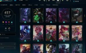 Conta Lol-  427 Skins Prestigio - Lvl 303- Todos Os Campeões