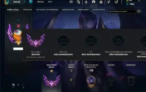 Mestre com 36 Champs e 7 Skins ( 286 PDL )