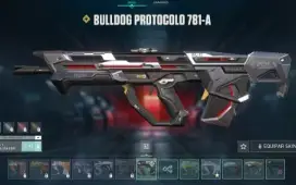 Conta valorant com mais de 190 skins!