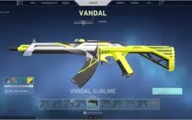 Conta valorant (mais skins que nao couberam na foto)