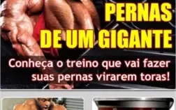 Guia do Bodybuilder - Aprenda Agora Como Virar Um Monstro