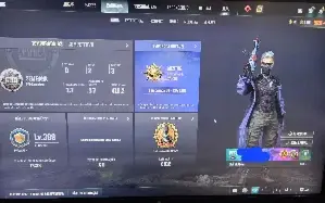 Conta Pubg Akm Full+Aug Neon Killfeed+Mk12+Carro Esportivo V