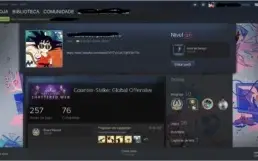 conta steam lvl 17/ ouro 3 csgo c/prime / 257hrs cs / +jogs