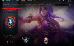 Conta LoL LVL 286, 135 CHAMP, 76 SKIN