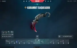 Conta Valorant, com karambit saqueador e todo o pacote