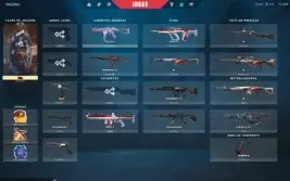 Conta Valorant, com karambit saqueador e todo o pacote