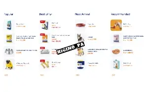 Tema Shopify Minion + Atualizações e Brindes