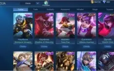 Conta Mobile Legends - 204 skins, Emblemas Full e Mítico 3.